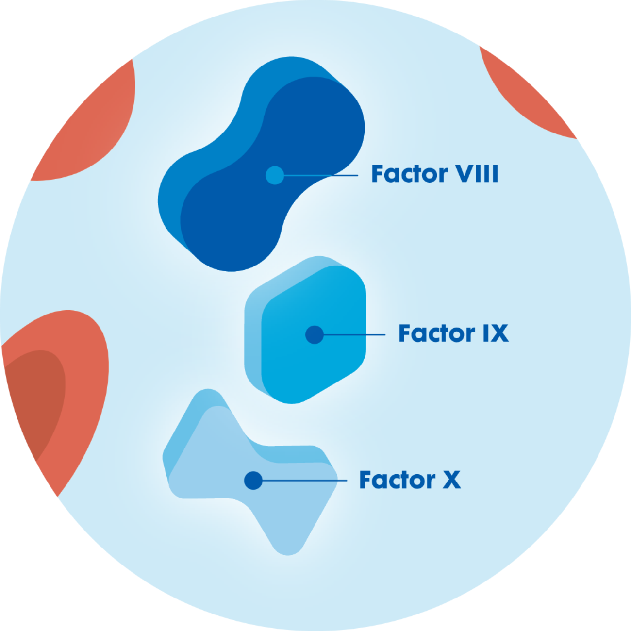 Clotting Cascade How Blood Clots Form for Clotting Cascade