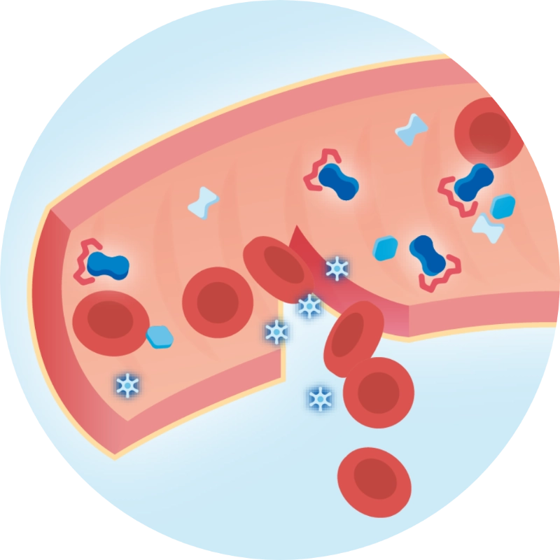 Clotting Cascade How Blood Clots Form for Clotting Cascade